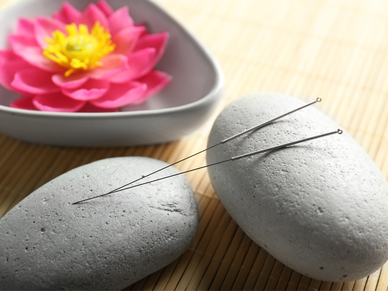 a bowl with a pink flower and two rocks holding acupuncture needles